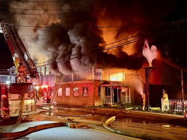 article image - fire 1